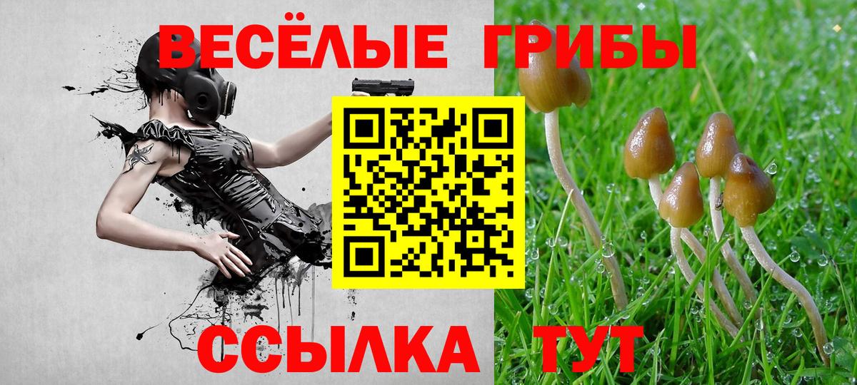 Кохма  Псилоцибиновые грибы ЛСД  Вход с VPN 