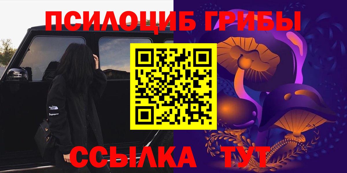 Галлюциногенные грибы Psilocybe Кохма